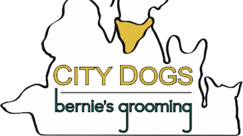 Bernie's Grooming / SF ACC Location preview