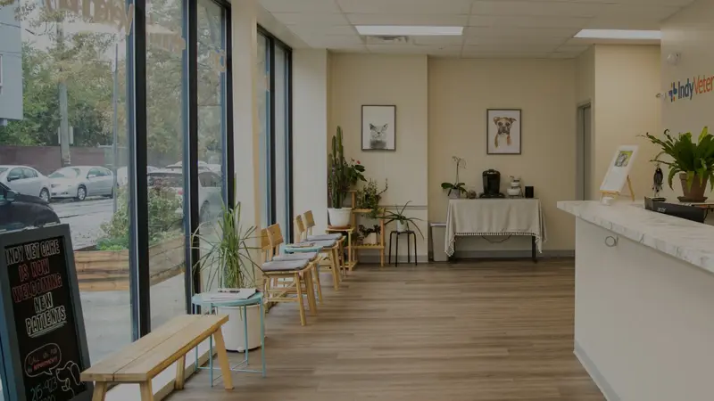 Indy Veterinary Care preview