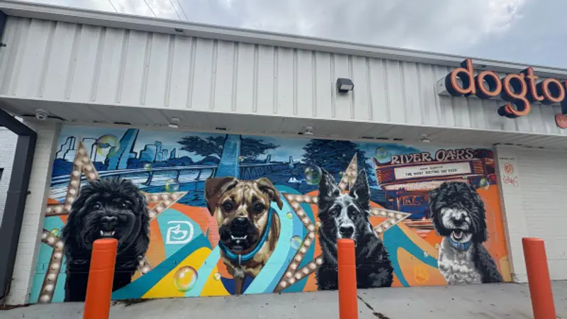 Dogtopia of Houston preview