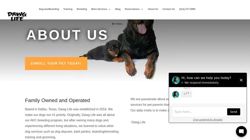 Dawg Life Doggy Daycare & Boarding - Dallas preview