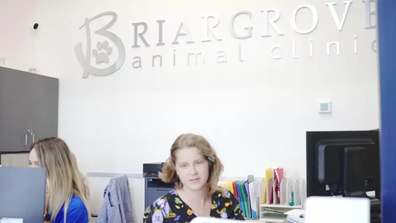 Briargrove Animal Clinic preview