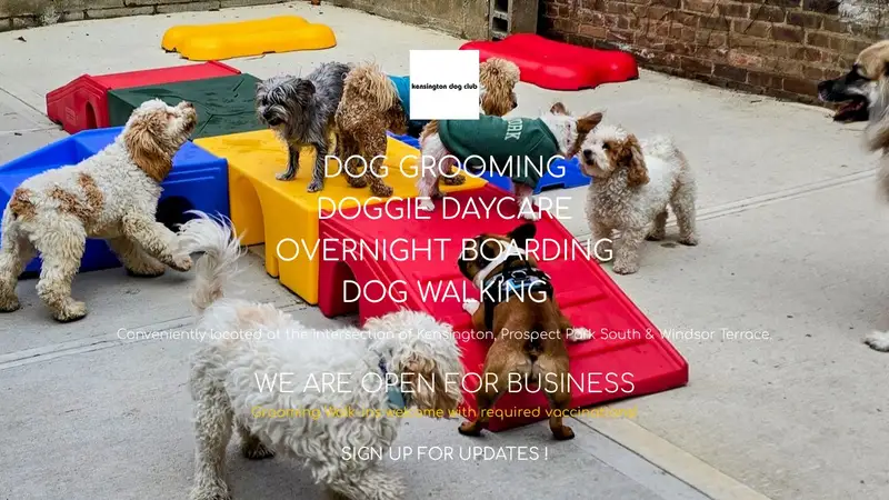 Kensington Dog Club preview