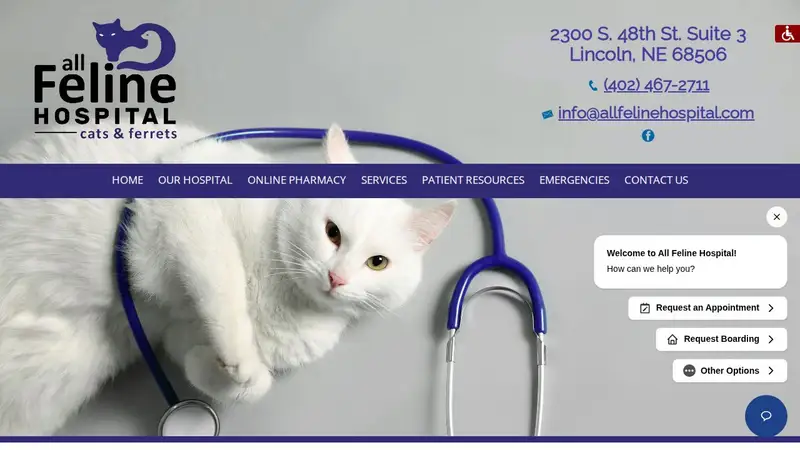All Feline Hospital preview