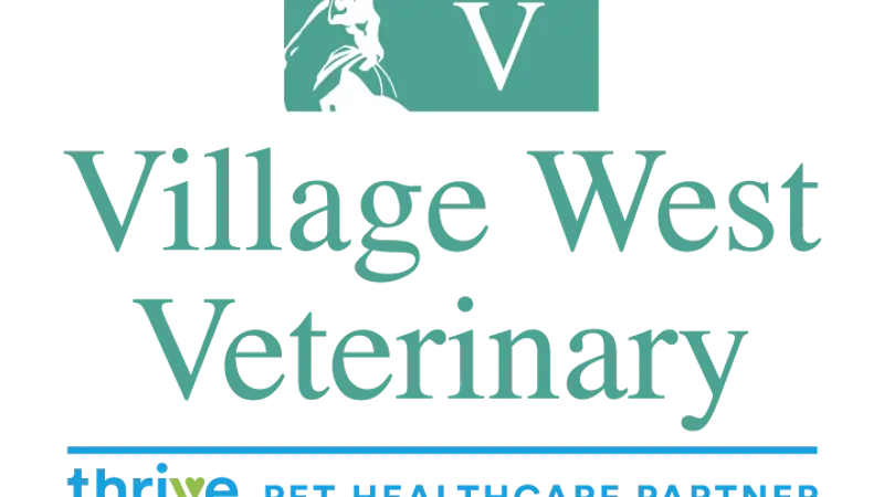Village West Veterinary preview