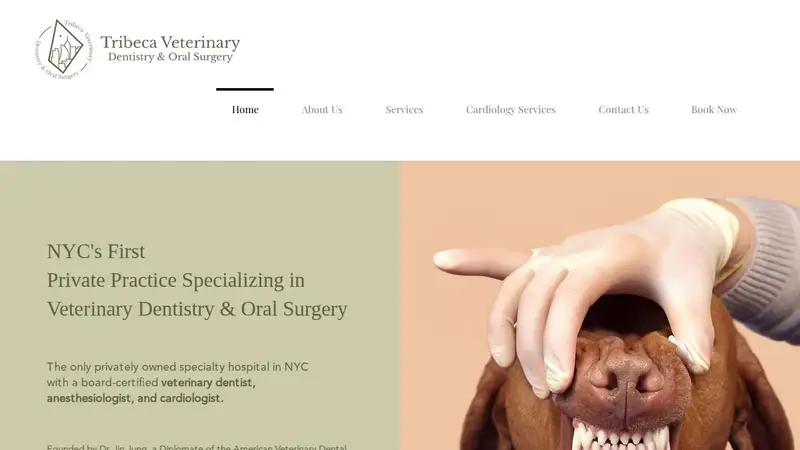 Tribeca Veterinary Dentistry preview
