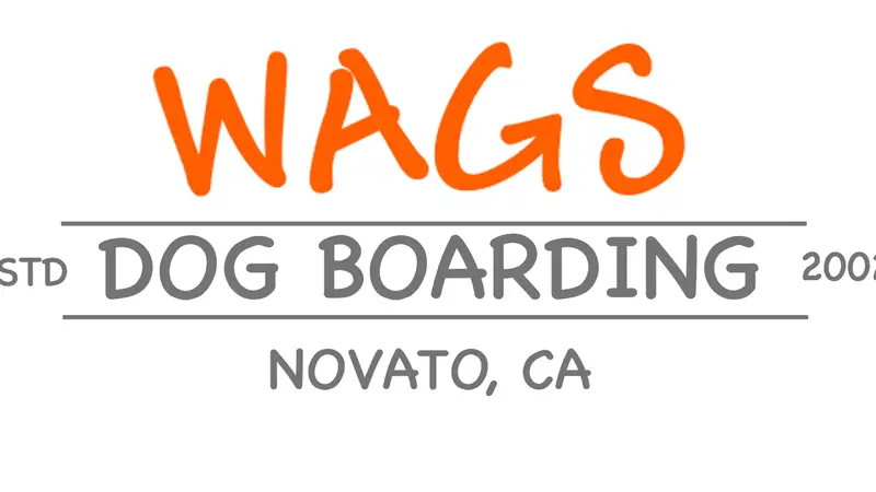 Wags Pet Wash preview