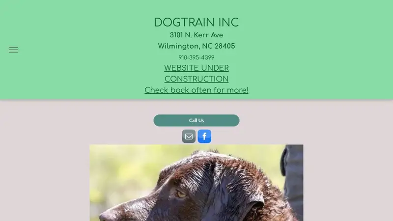 DogTrain preview