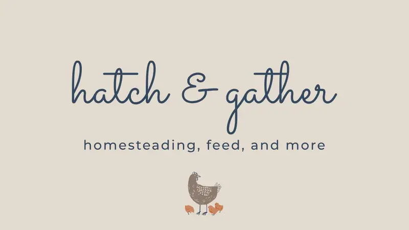 hatch & gather preview
