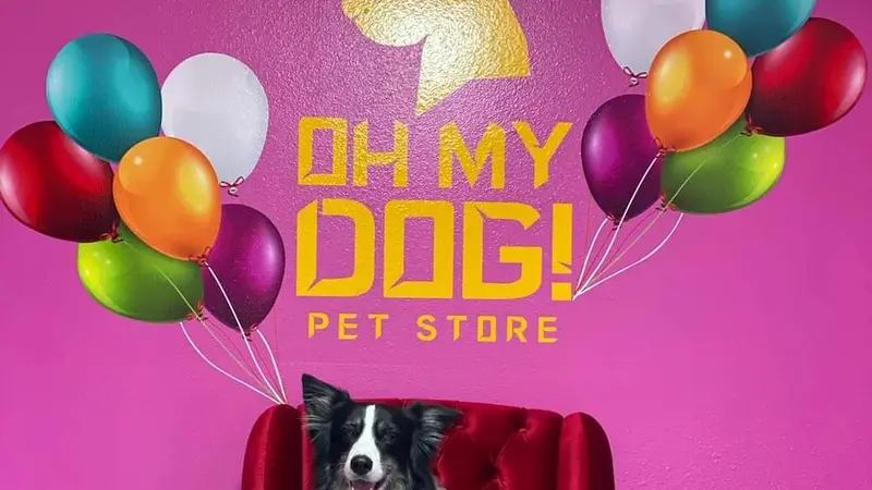 Oh My Dog! Pet Store preview