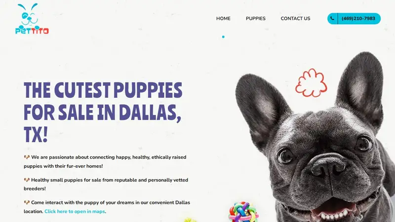Pettito Plano preview