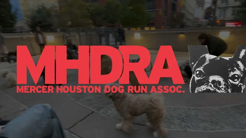 Mercer Houston Dog Run preview