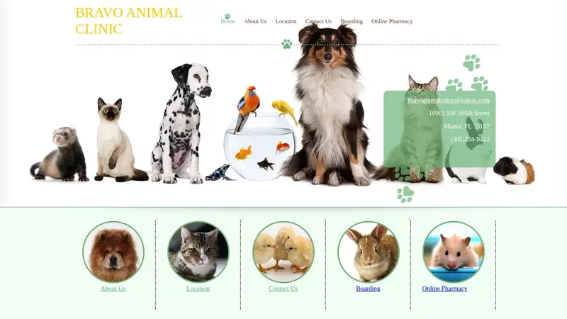 Bravo Animal Clinic preview