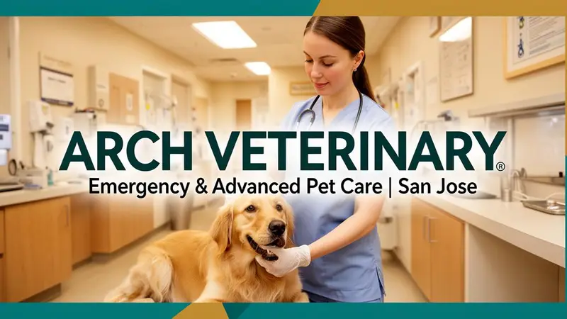 ARCHVET Animal Hosptial preview
