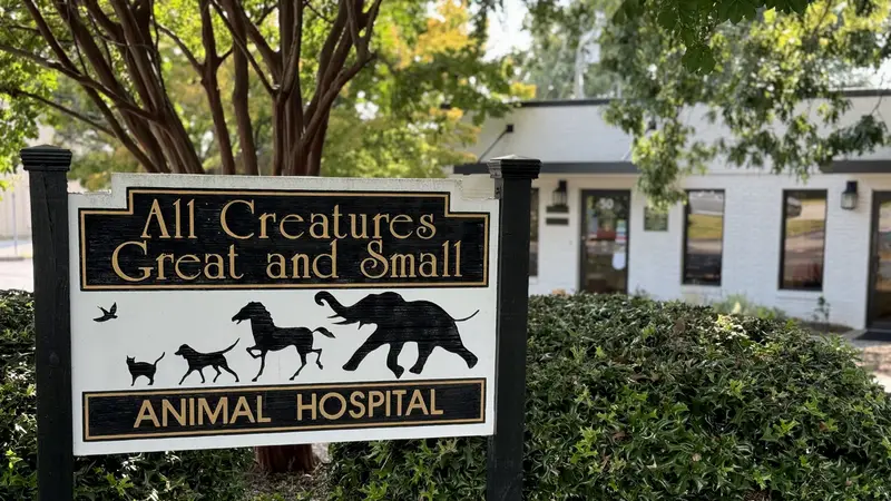 All Creatures Great and Small preview