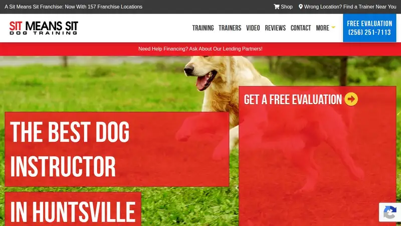 Sit Means Sit Dog Training North Alabama preview