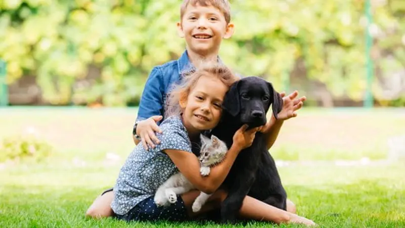 Pet Vet Animal Hospital preview