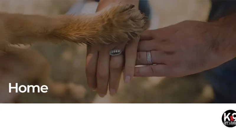K9 Off Leash preview