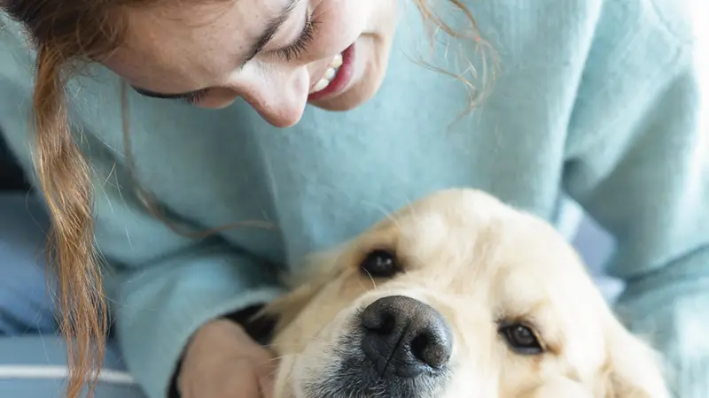 Freckles and Friends Pet Clinic preview