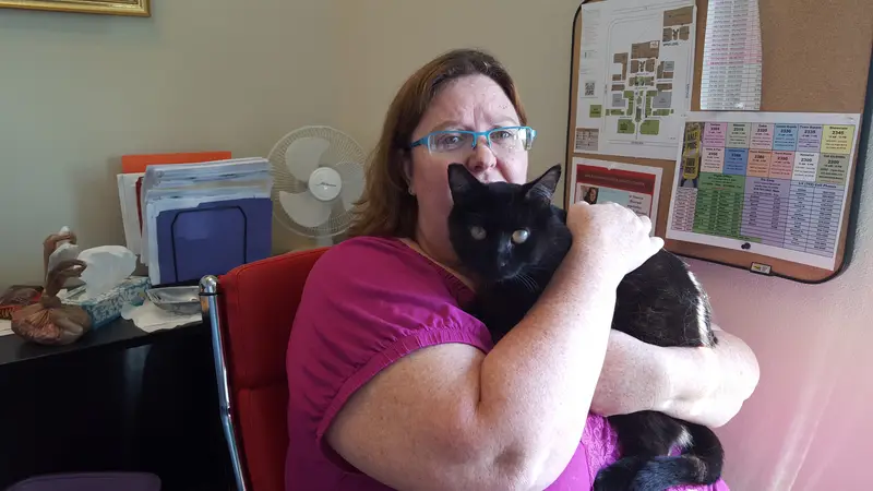 Kiss For Homeless Animals preview