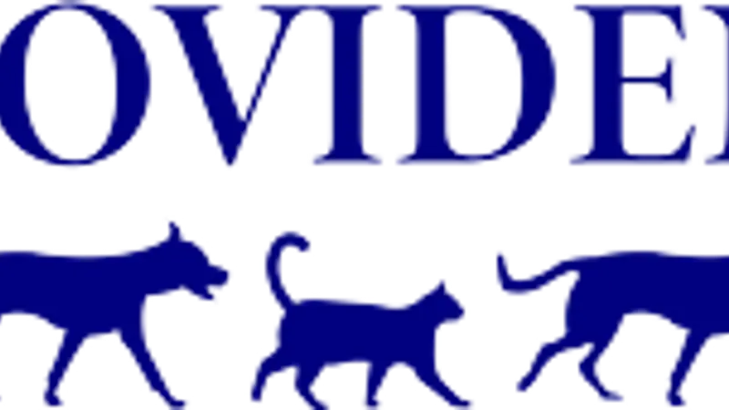 Providence Vet preview