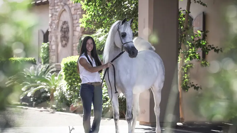 Rae-Dawn Arabians preview
