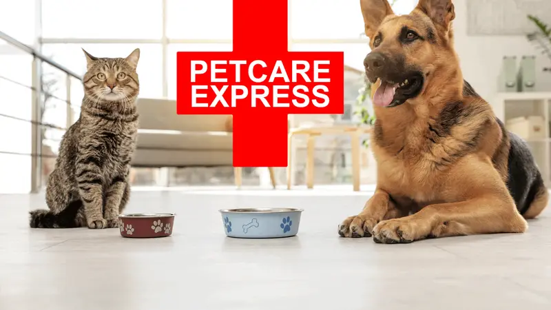 Petcare Express preview