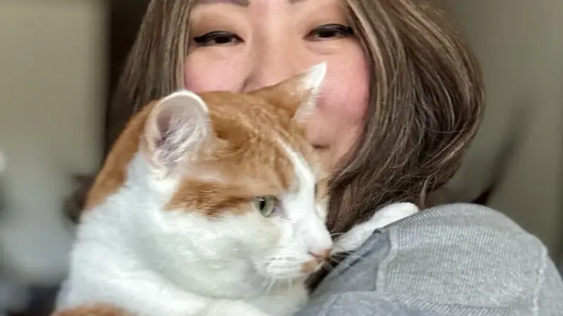 Cap Hill Cat Crazy preview