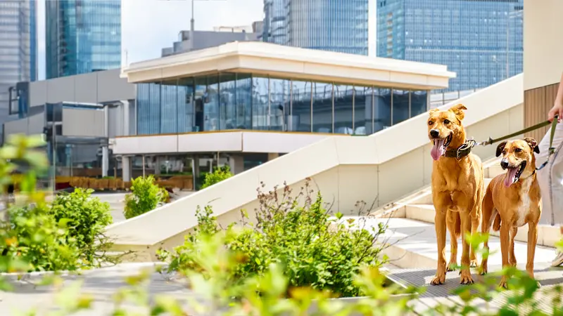 Pet Care Center Esplanade preview