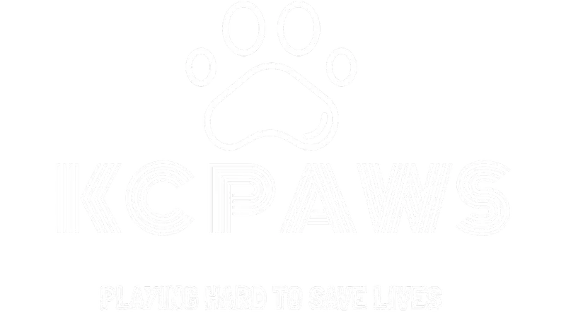 Protective Animal Welfare Society (P.A.W.S.) preview