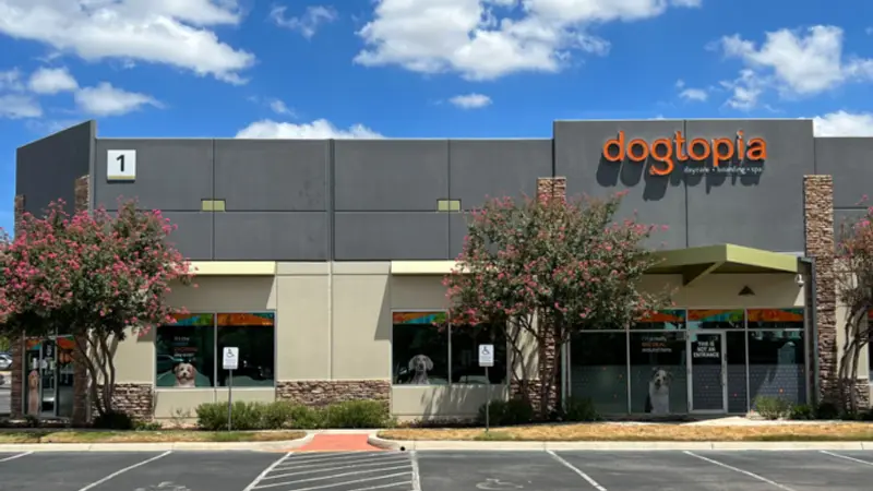 Dogtopia of San Antonio Northwest preview