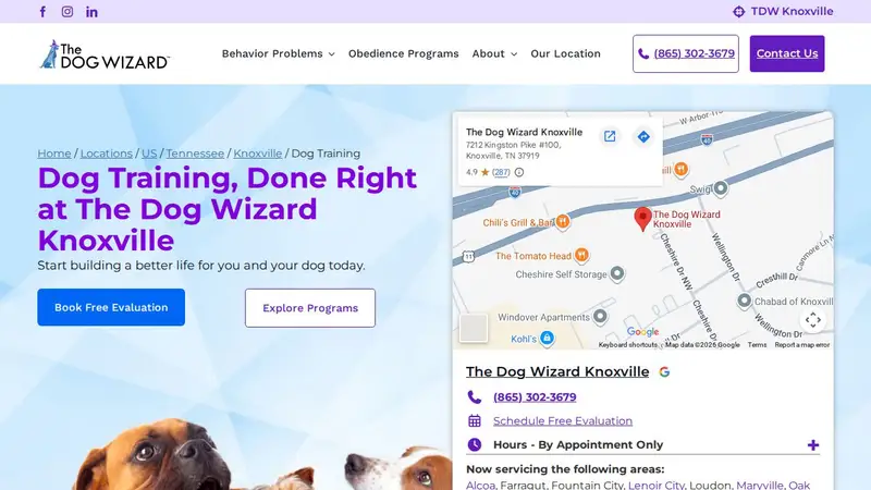 The Dog Wizard Knoxville preview