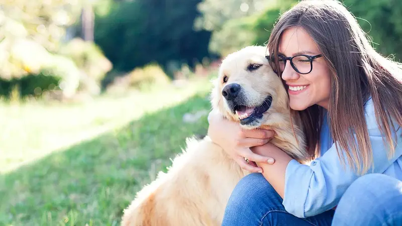 Shores Animal Hospital preview