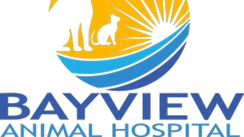 Bayview Animal Hospital preview