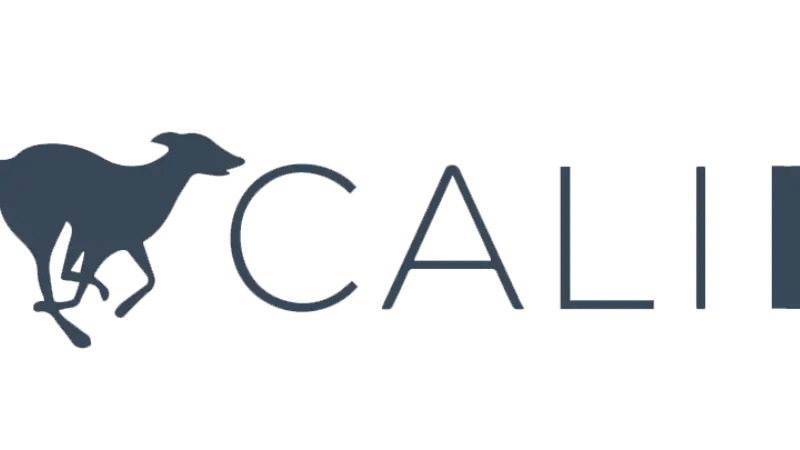 Calidog preview