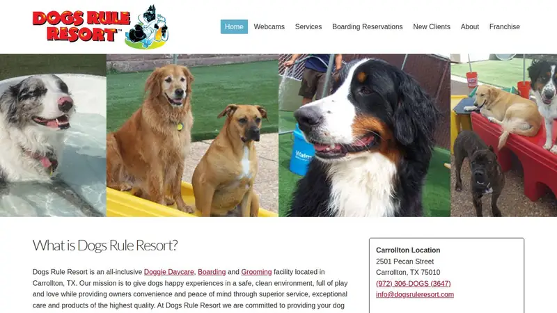 Dogs Rule Resort preview