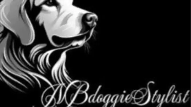 NBdoggieStylist preview