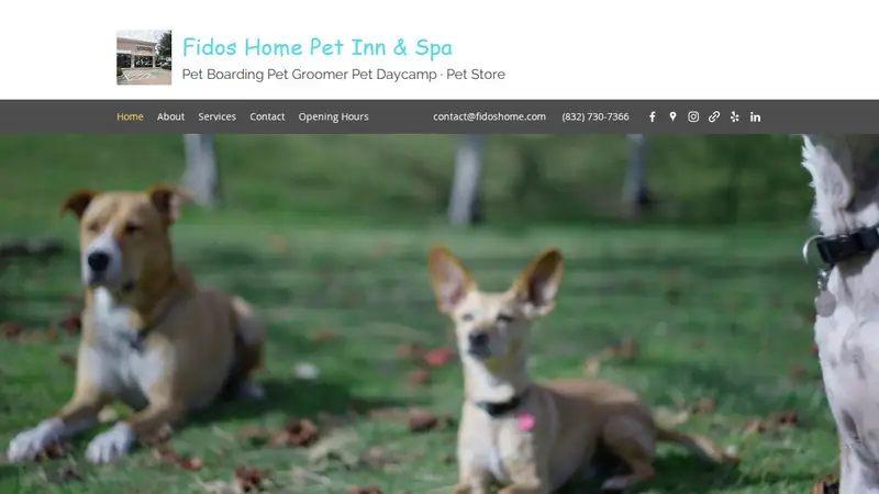 Fidos Home Pet Inn and Spa preview