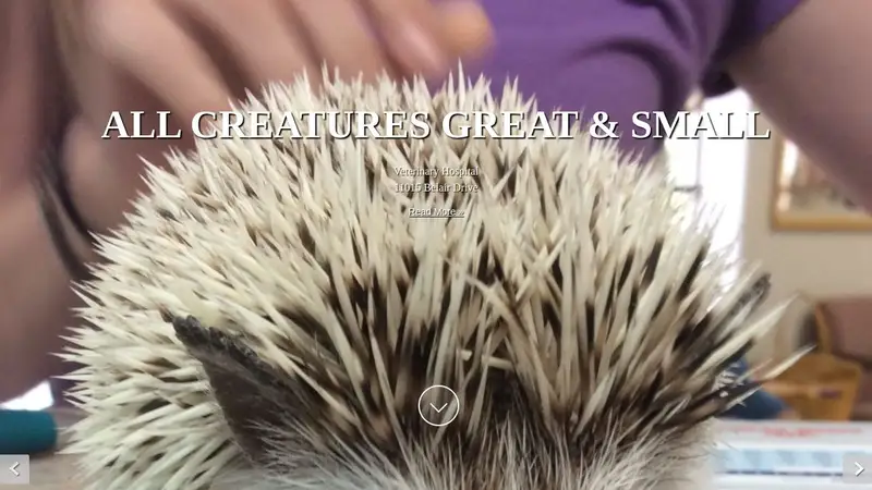 All Creatures Great & Small Veterinary Hospital preview