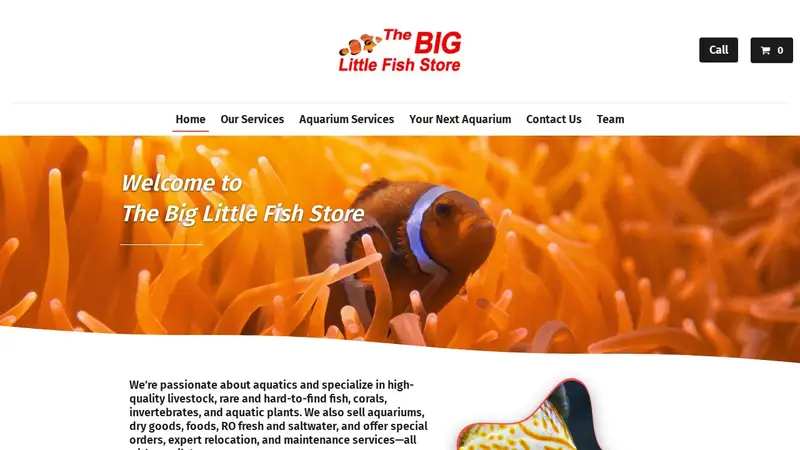 The Big Little Fish Store preview