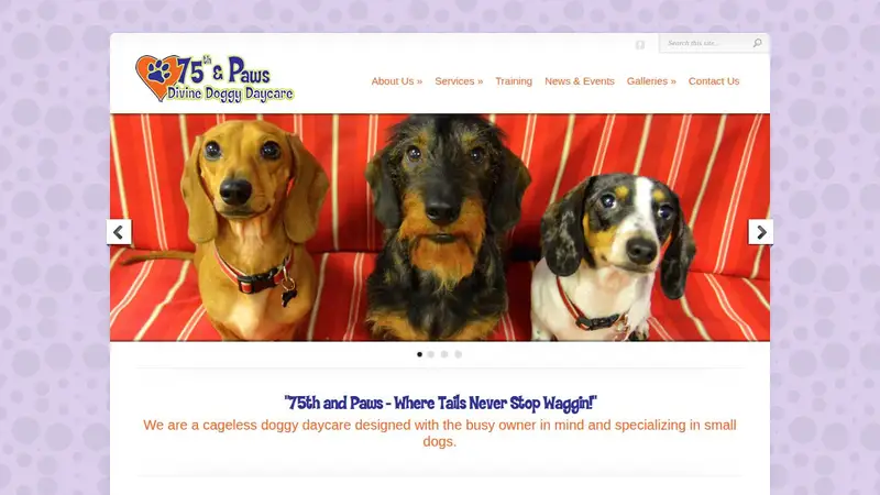 75th & Paws Doggy Daycare preview