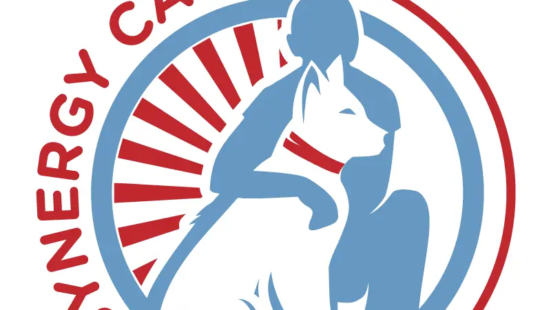 Synergy Cane9 preview