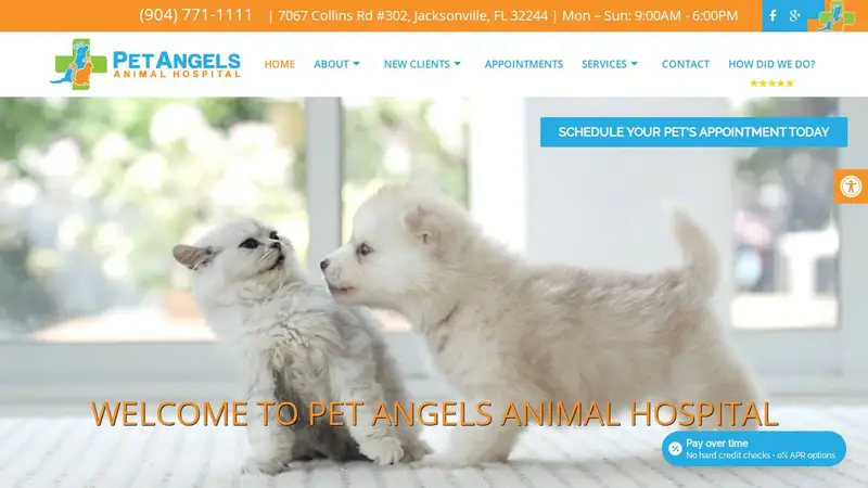 Pet Angels Animal Hospital preview