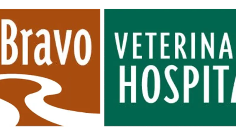 Rio Bravo Veterinary Hospital preview
