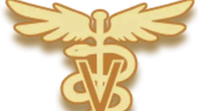 Discovery Animal Hospital preview