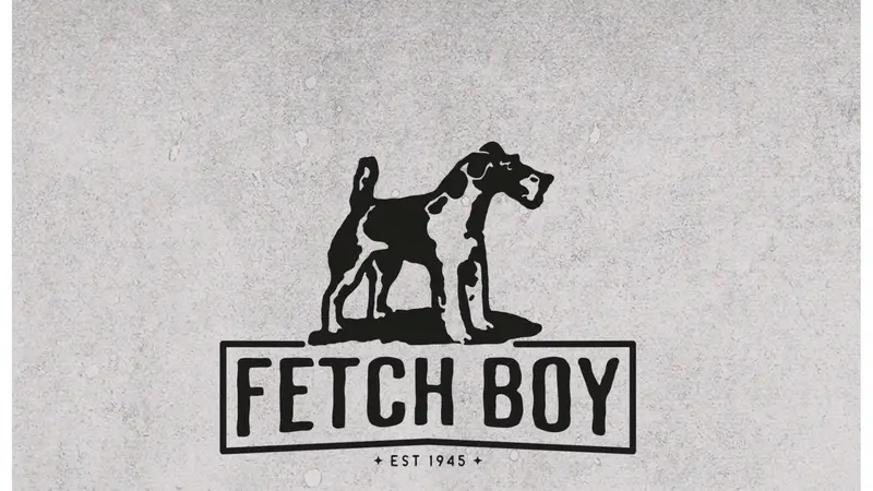 Fetch Boy preview