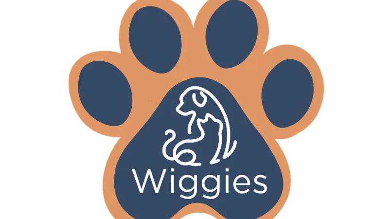 Wiggies preview