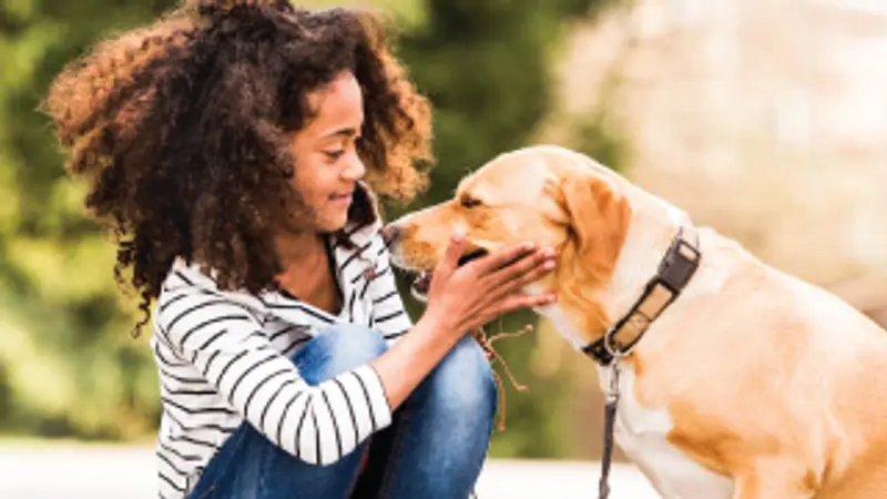 East Maryland Animal Hospital preview