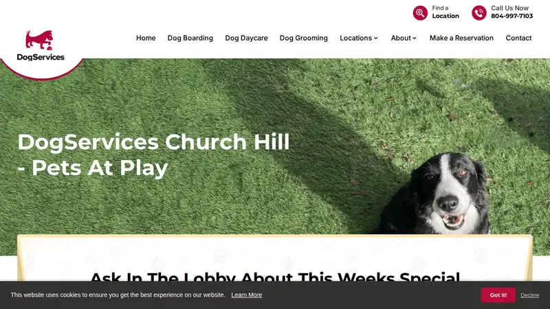 Pets at Play preview