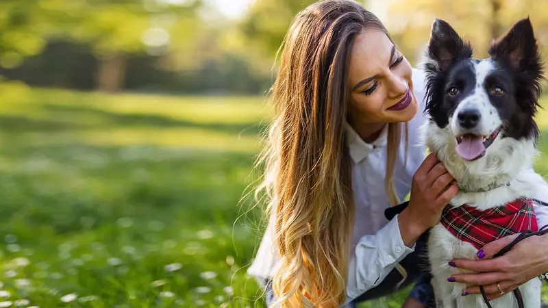 Avondale Animal Hospital preview
