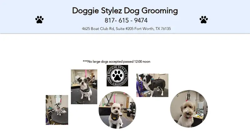 Doggie Stylez Dog Grooming preview
